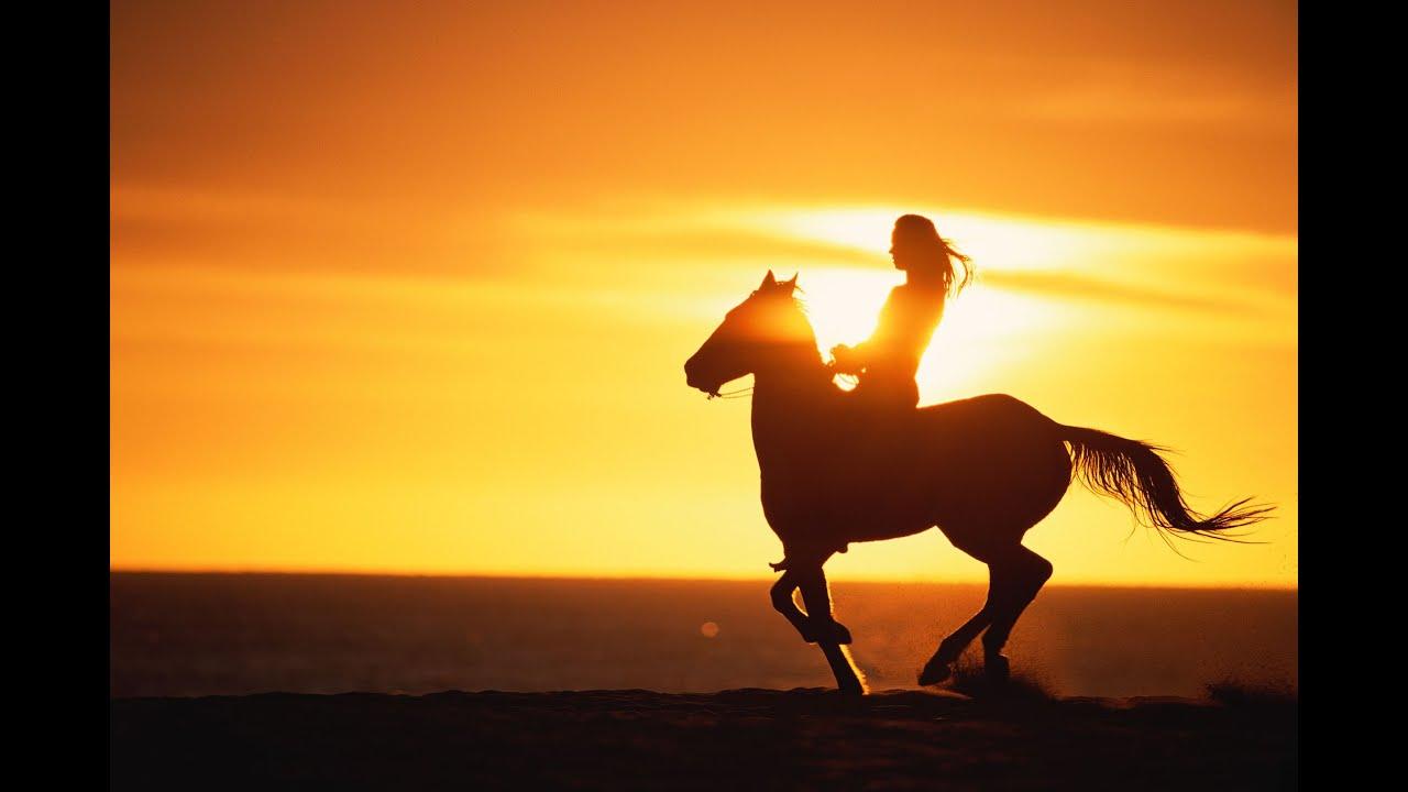 Horse Camp: A Treasure Tail Trailer