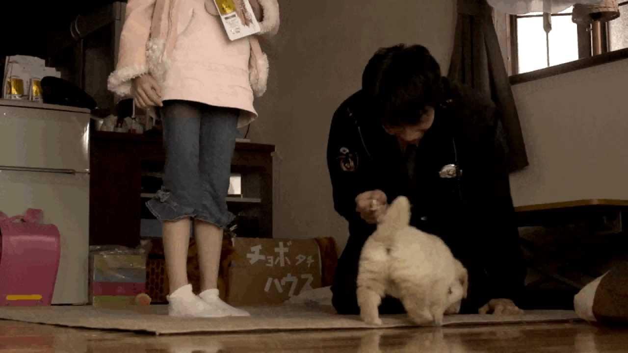 The Dog's Policeman: Tenohira Wanko Trailer