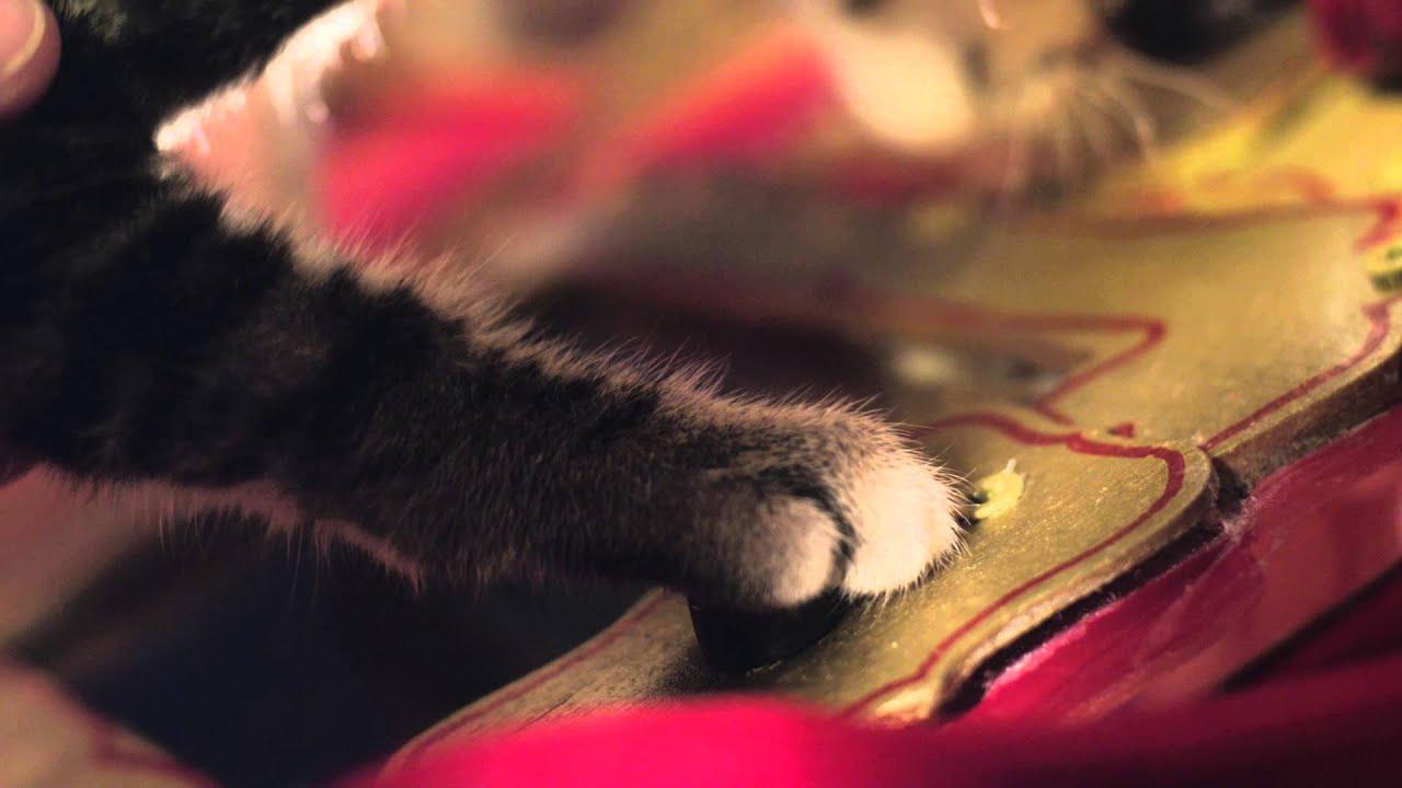 Santa Claws Trailer
