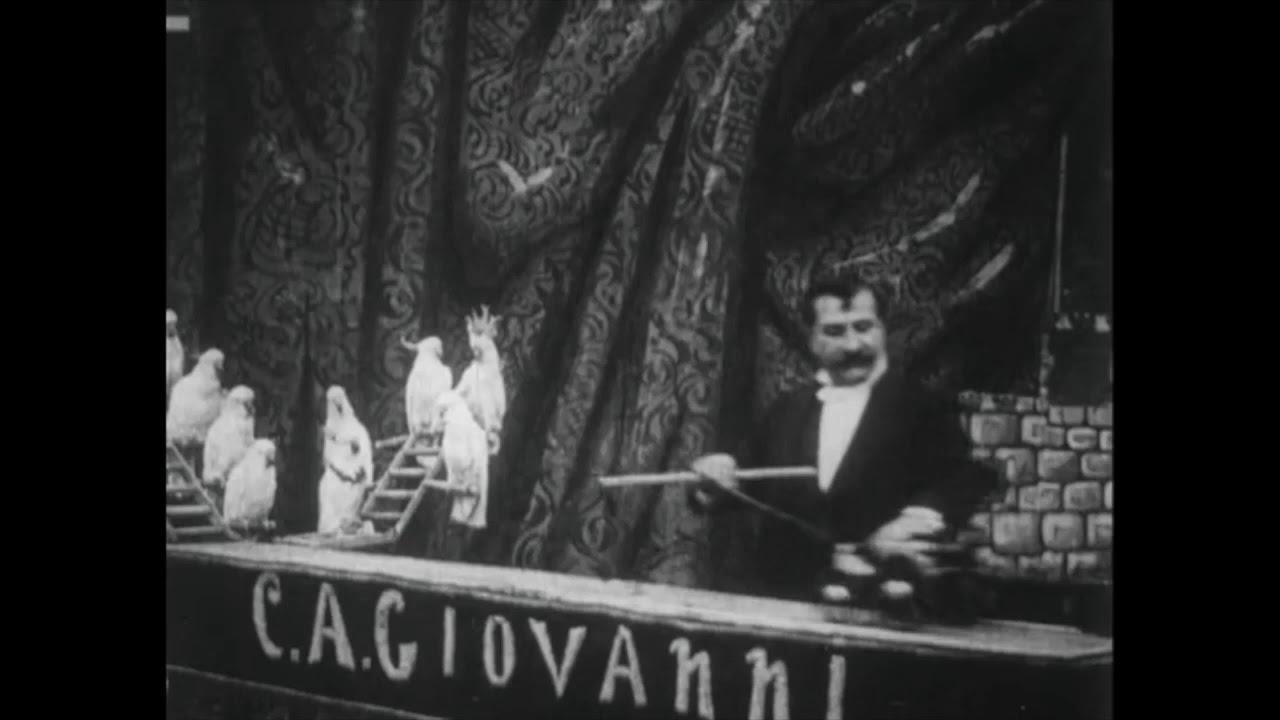 Perroquets savants Trailer
