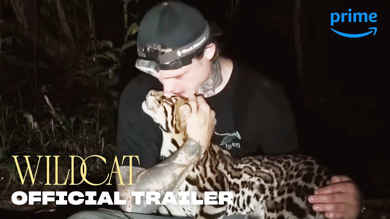 Wildcat Trailer