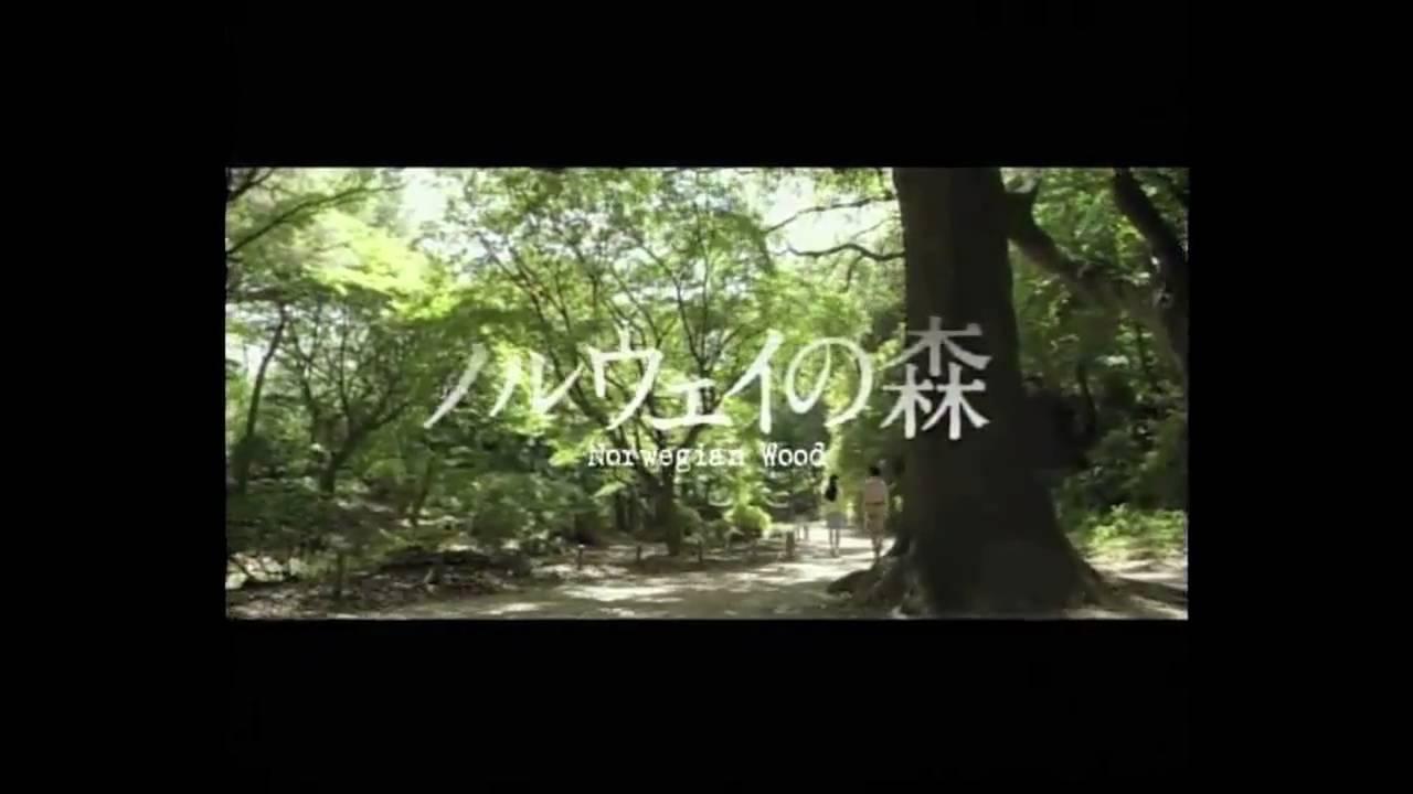 Norwegian Wood Trailer