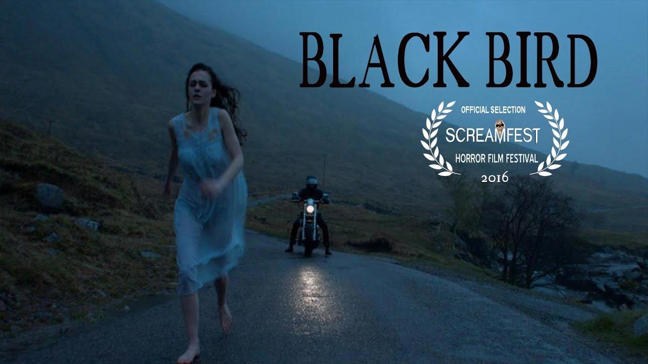 Blackbird Trailer