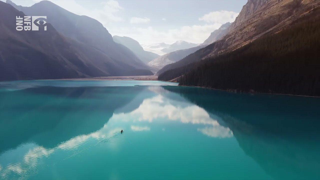 Losing Blue Trailer