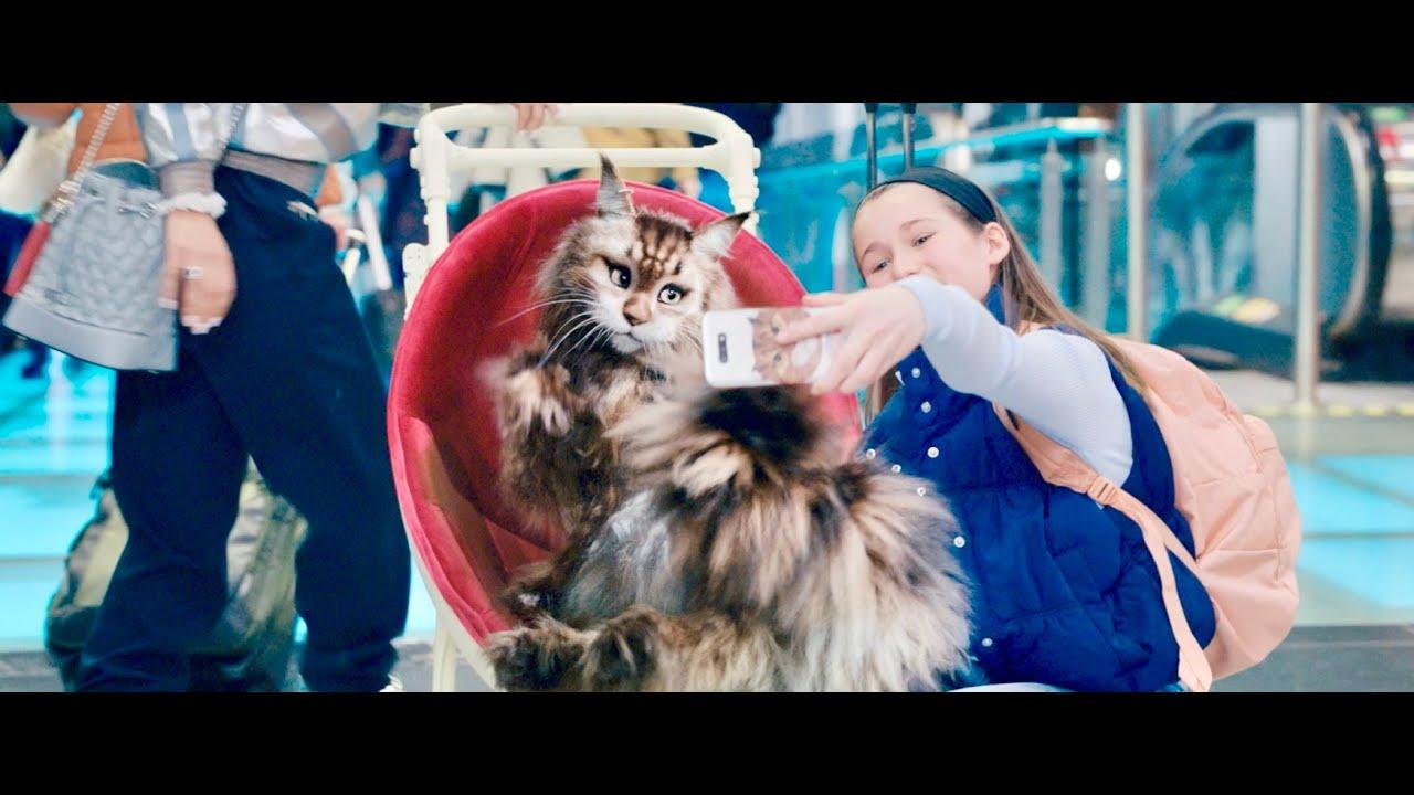 Cat and Dog Trailer