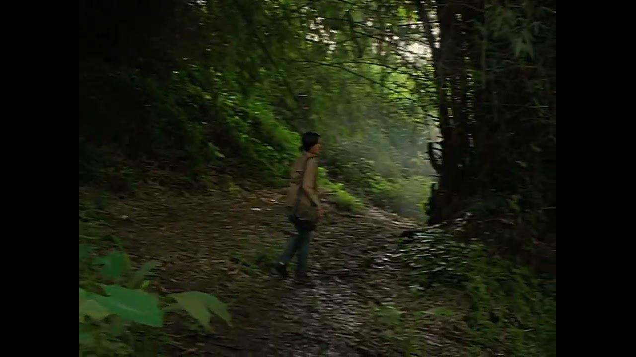 Caraingin Trailer
