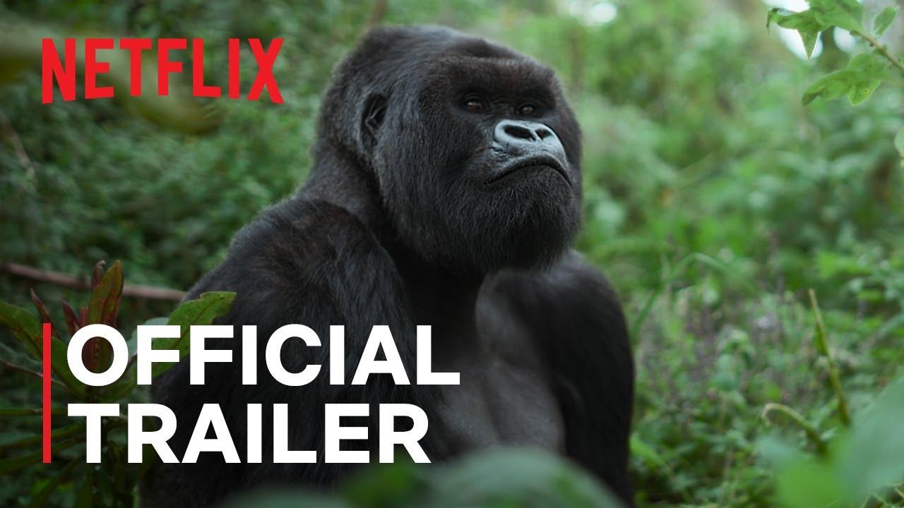 A Gorilla Story: Told by David Attenborough Trailer