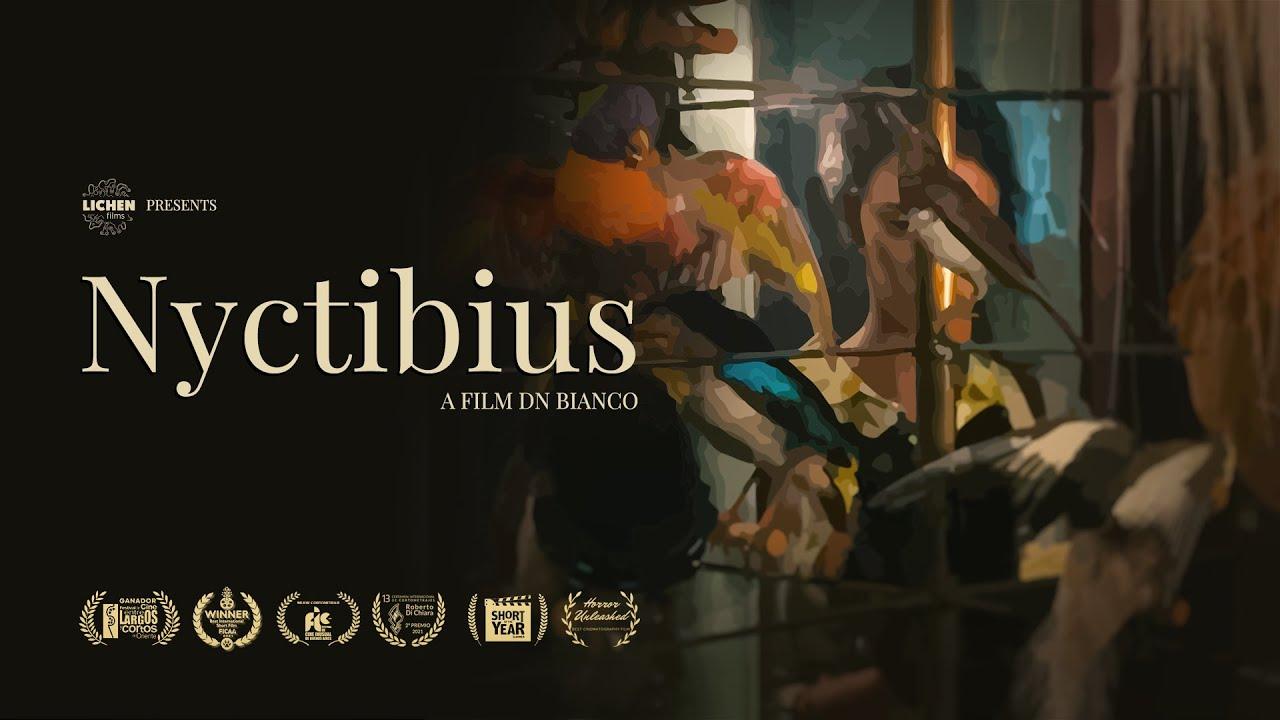 Nyctibius Trailer