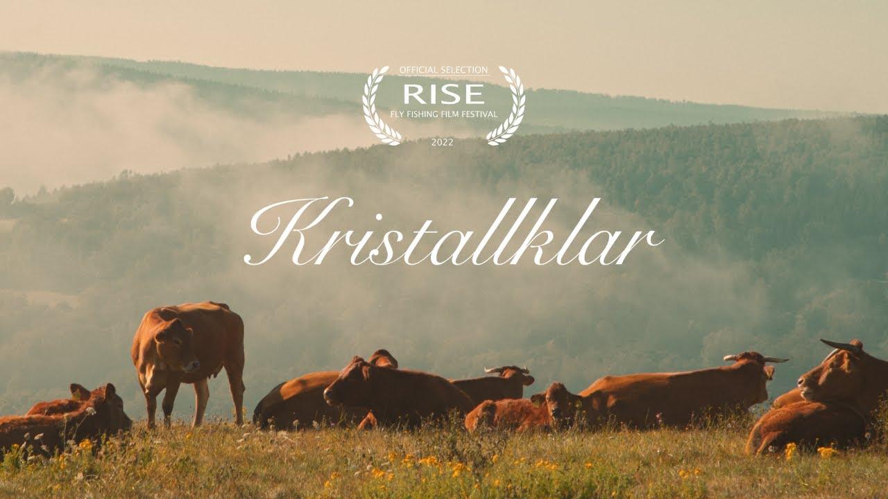 Kristallklar - A Fly Fishing Short Film Trailer