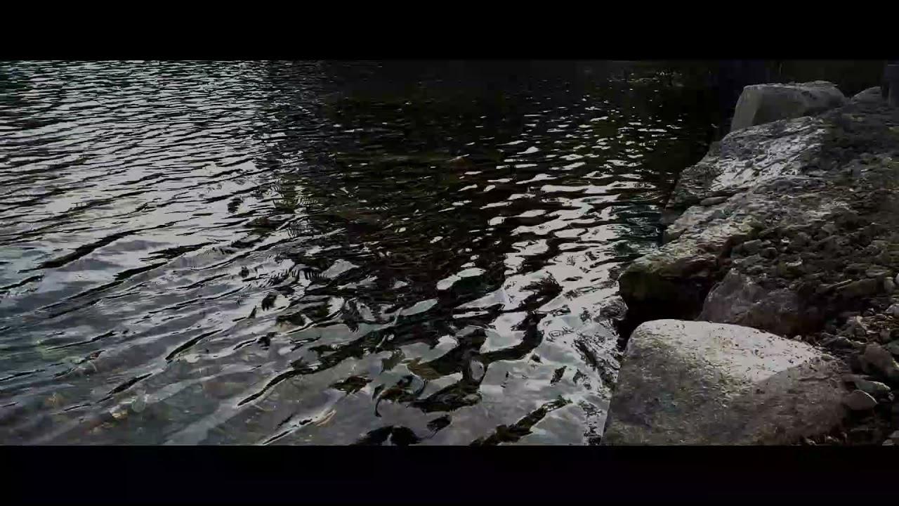 Fatherland Trailer