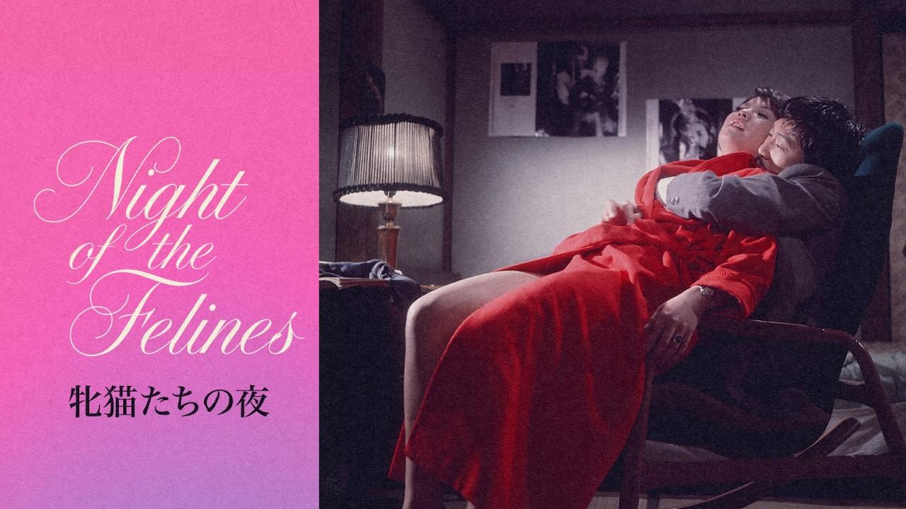 Night of the Felines Trailer