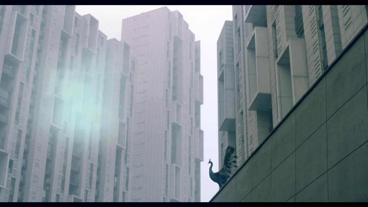Haze and Fog Trailer