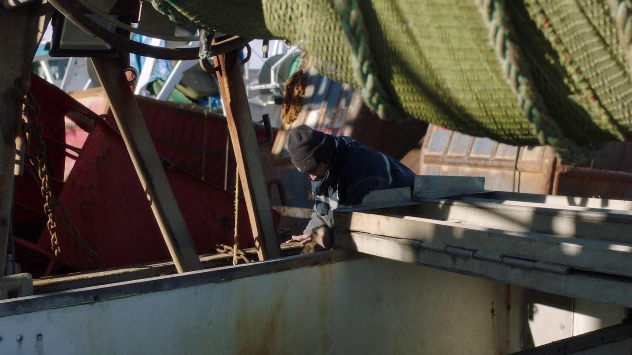 Homeport Trailer