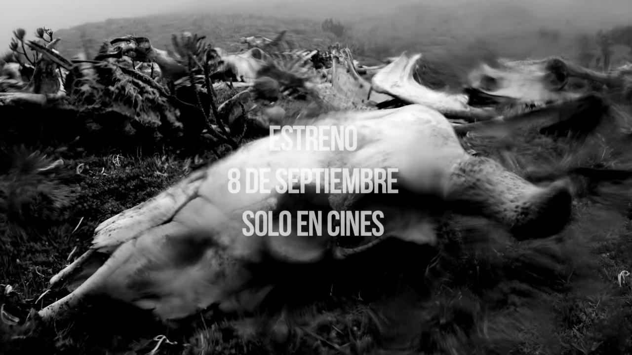 Chuquiragua Trailer