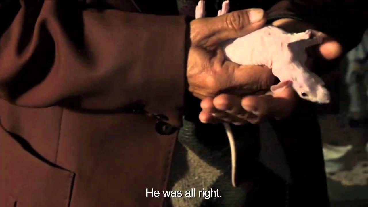 Between Night and Day Trailer