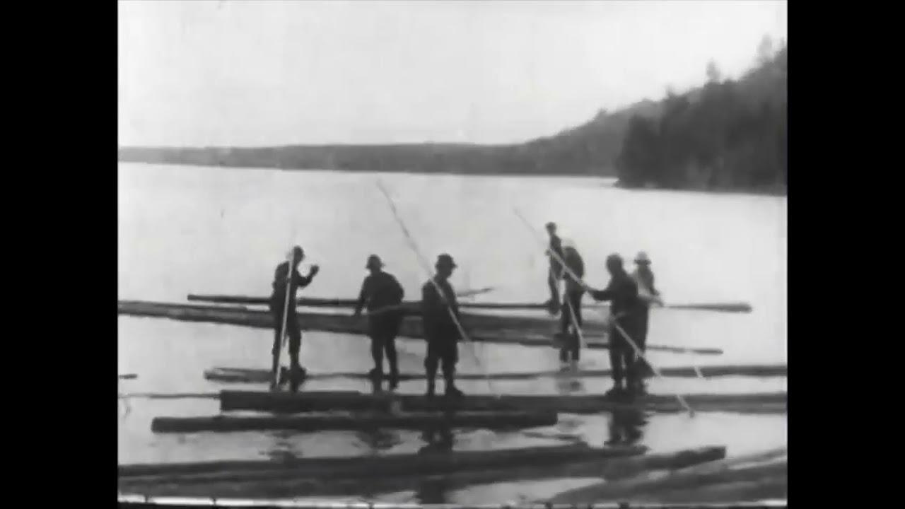 Logging in Maine Trailer