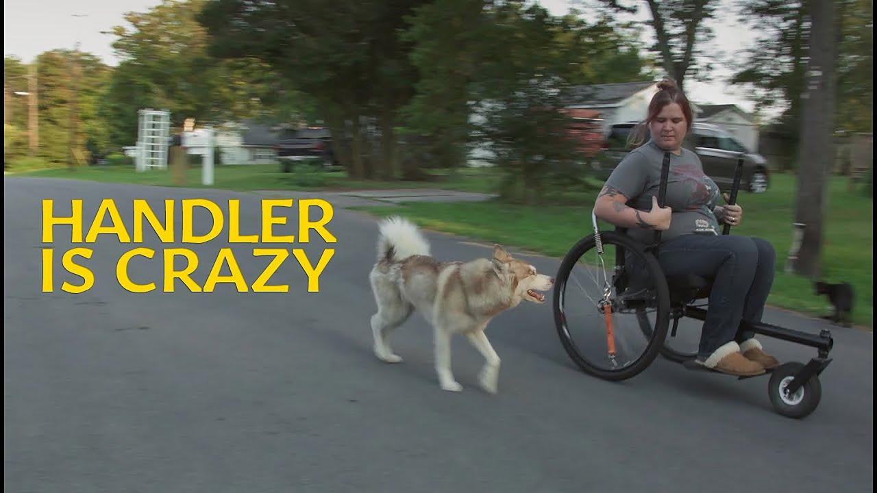 Handler is crazy Trailer