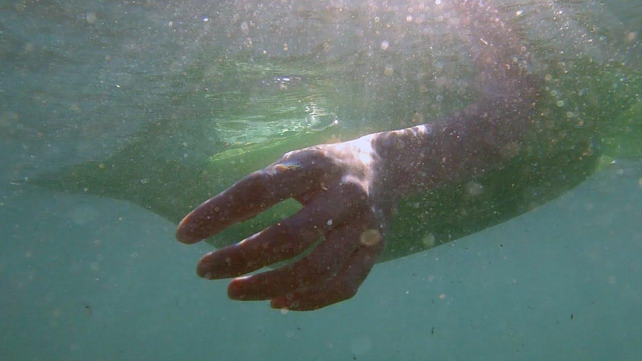 Depredadores sobre el mar Trailer