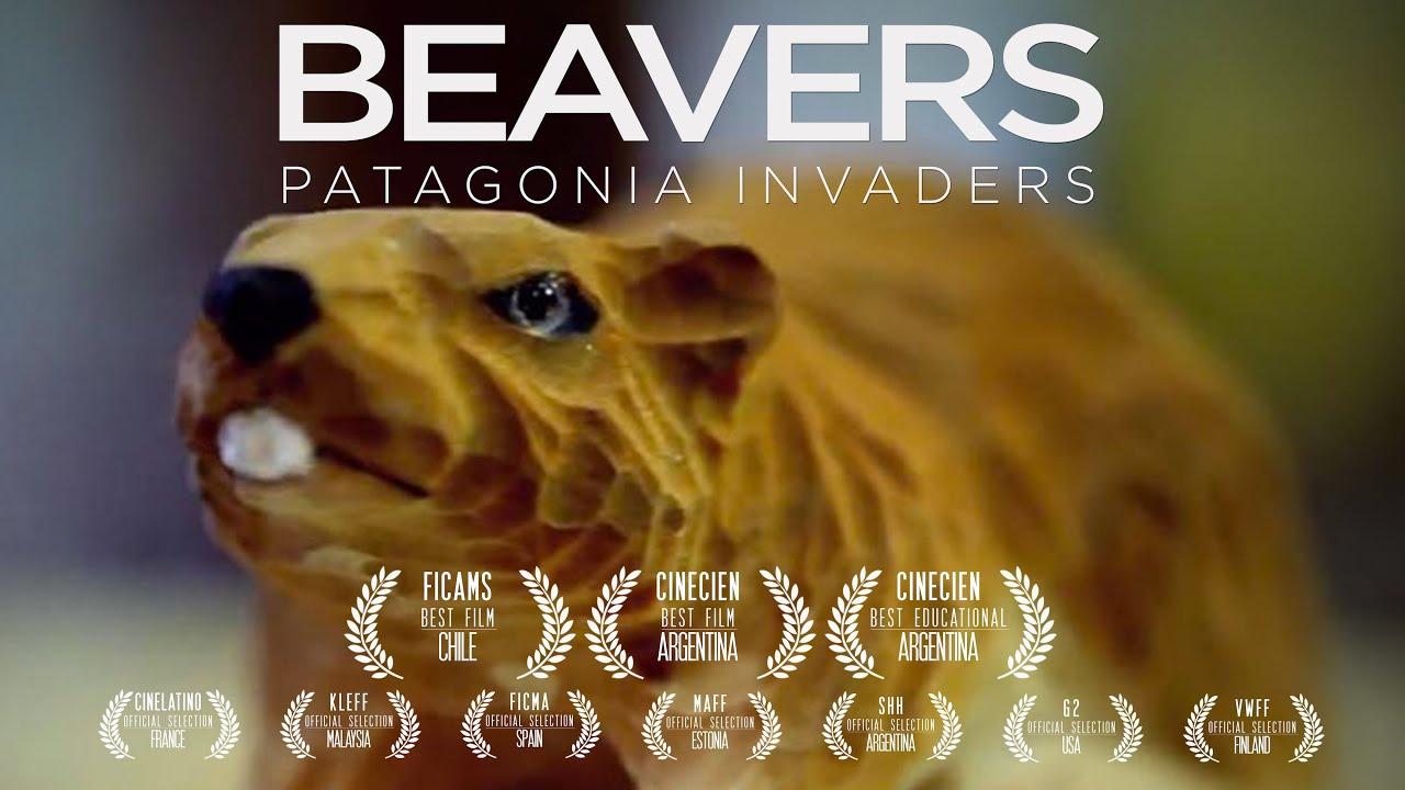 Beavers: Patagonia invaders Trailer