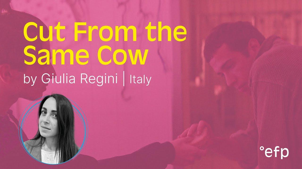 Cut from the Same Cow Trailer