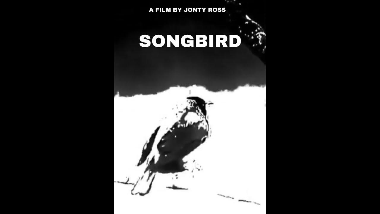 Songbird Trailer