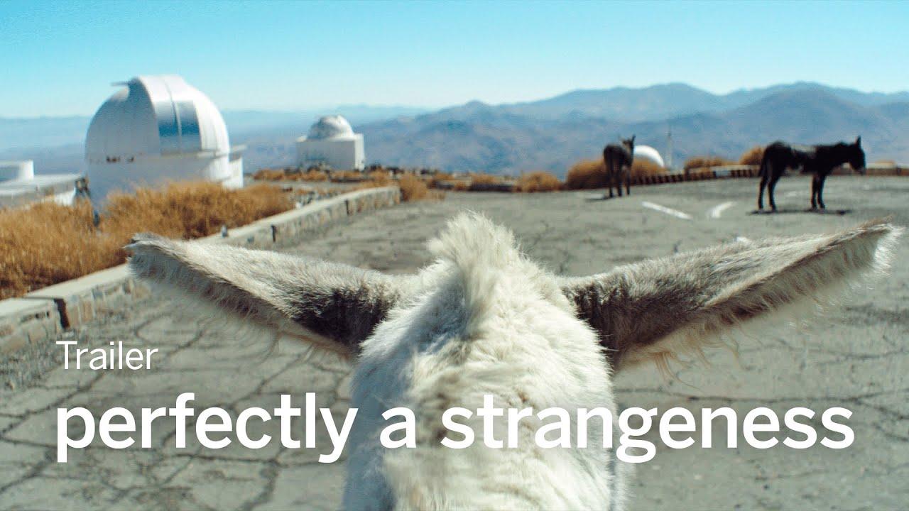perfectly a strangeness Trailer
