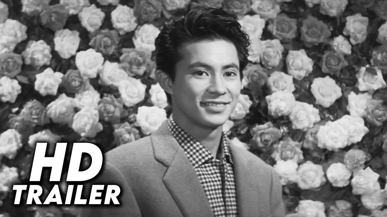 Love Letter Trailer