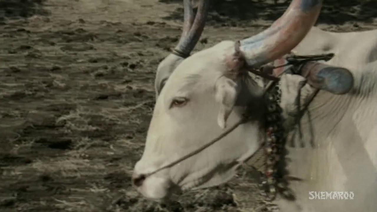 Raakhandaar Trailer