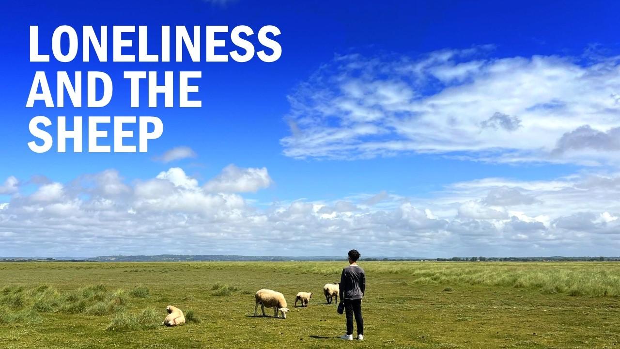 Loneliness and the Sheep Trailer