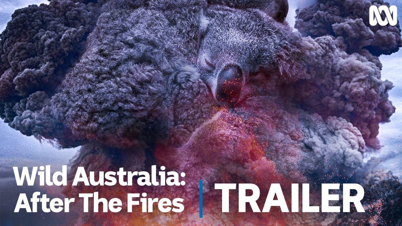 Wild Australia: After the Fires Trailer