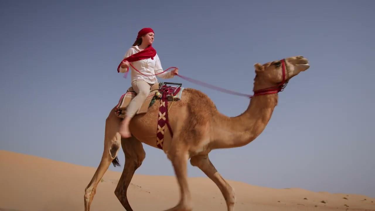 Hamloul Trailer