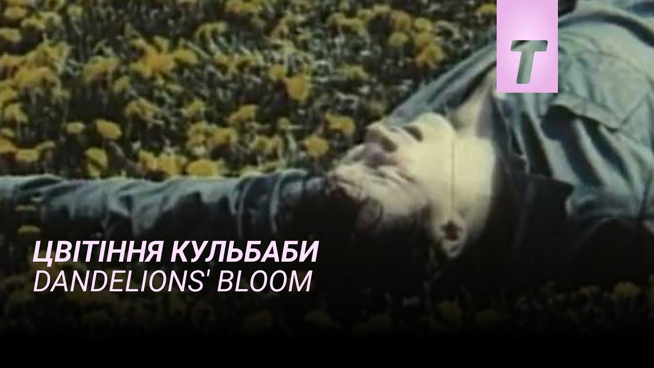 Dandelions' Bloom Trailer