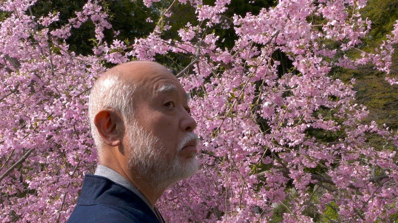 The Voyage of Bashô Trailer