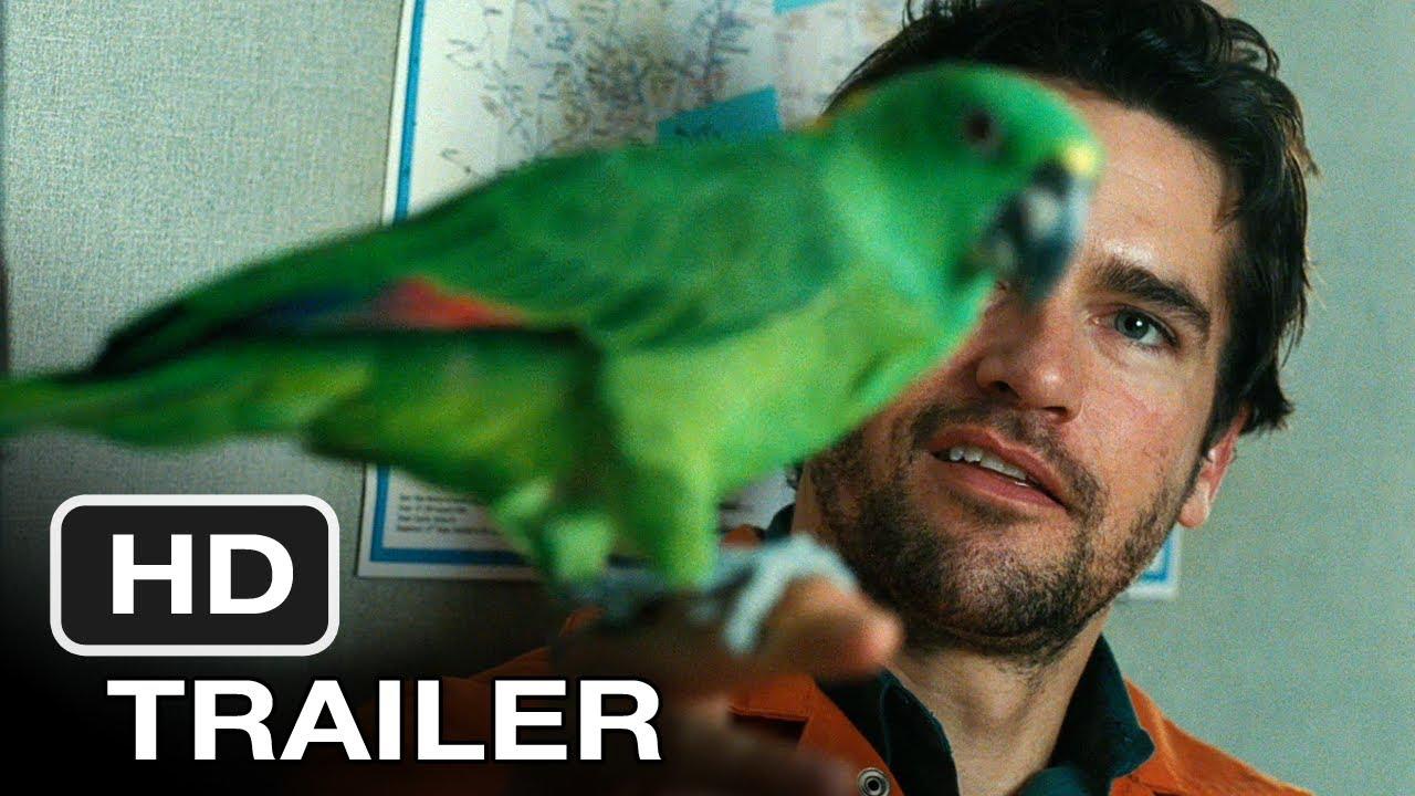 A Bird of the Air Trailer