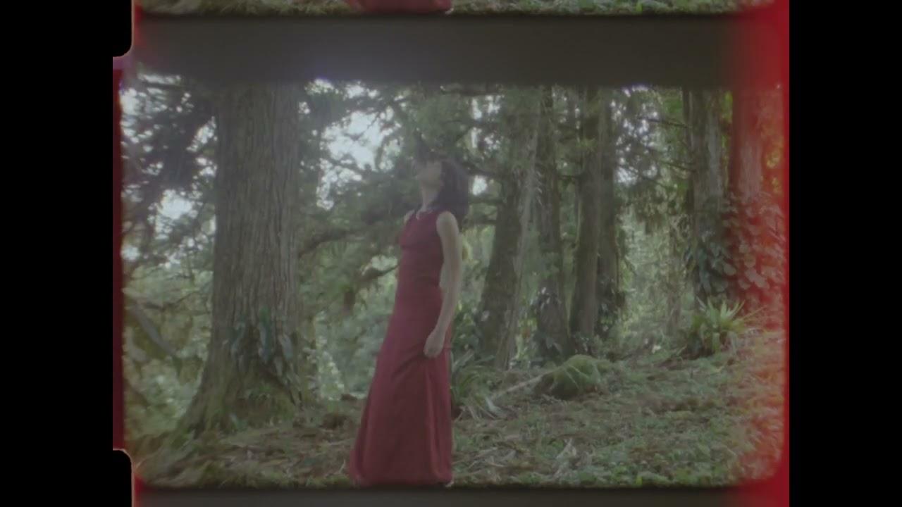 Distance Is Always Blue Trailer