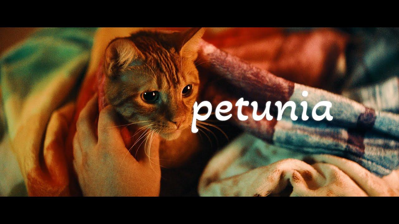 Petunia Trailer