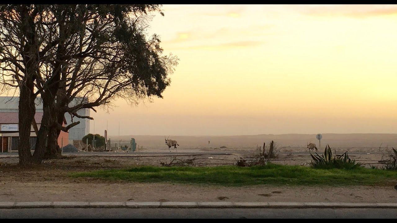 Desert Paradise Trailer
