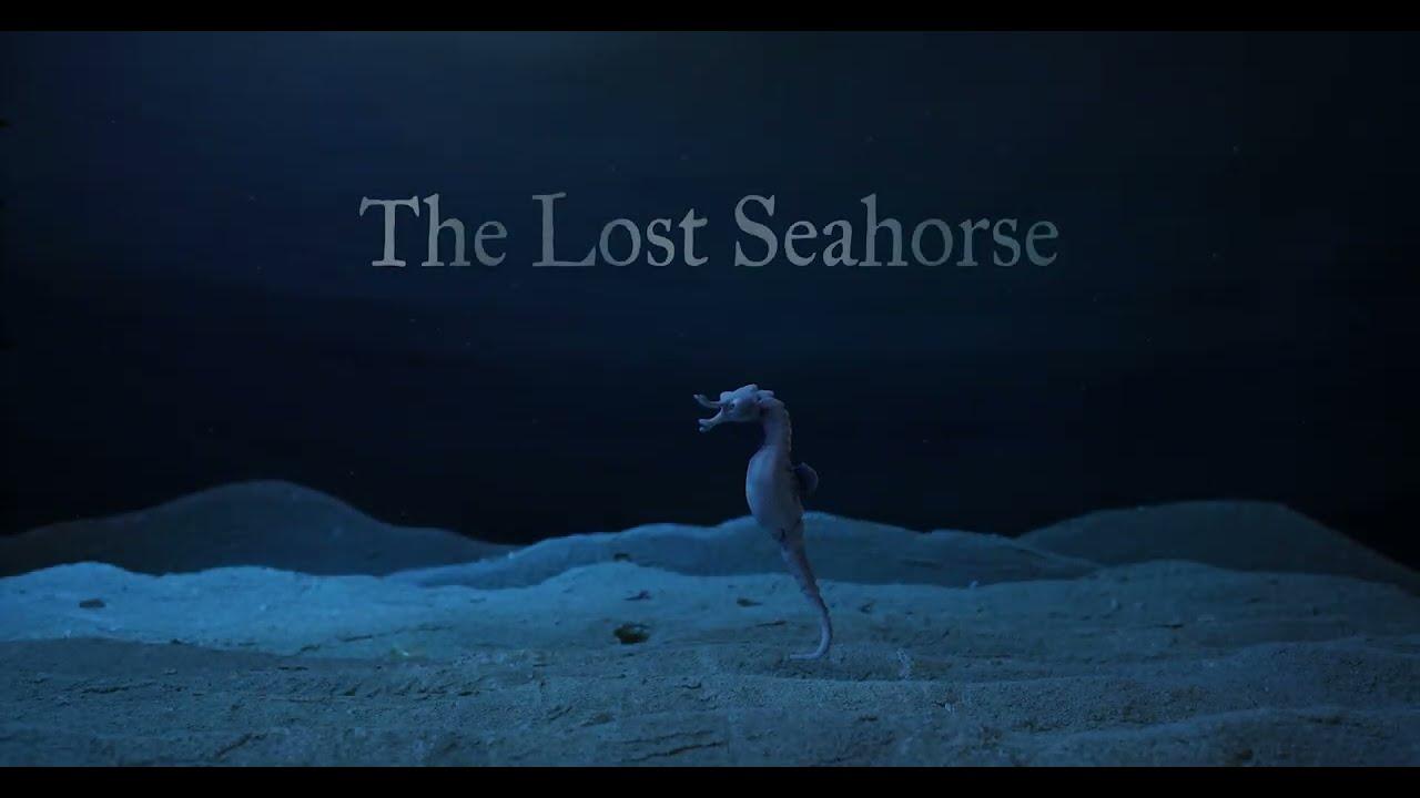 The Lost Seahorse Trailer
