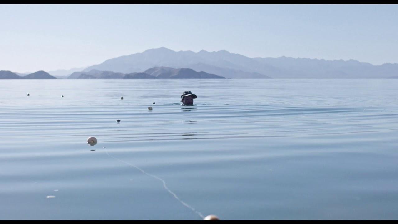 Una corriente salvaje Trailer