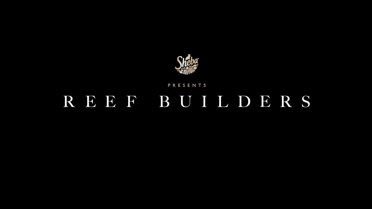 Reef Builders Trailer