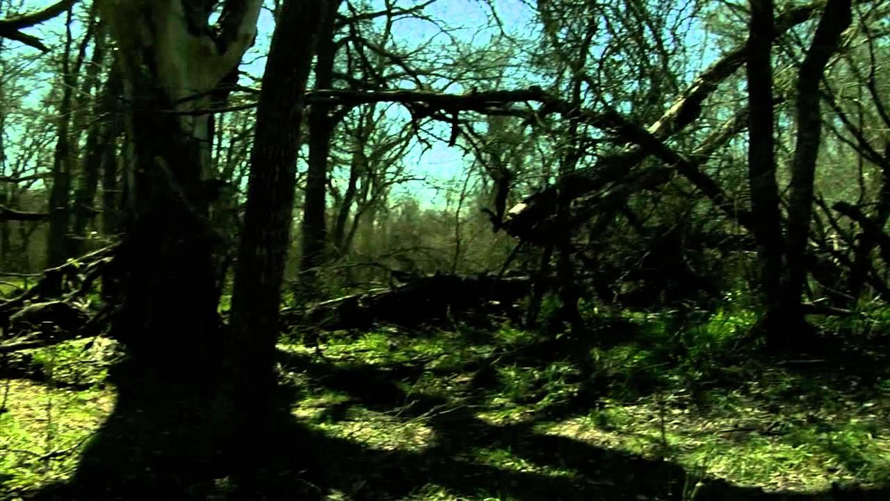 The Woodsman Trailer
