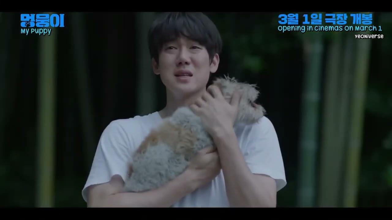 My Heart Puppy Trailer