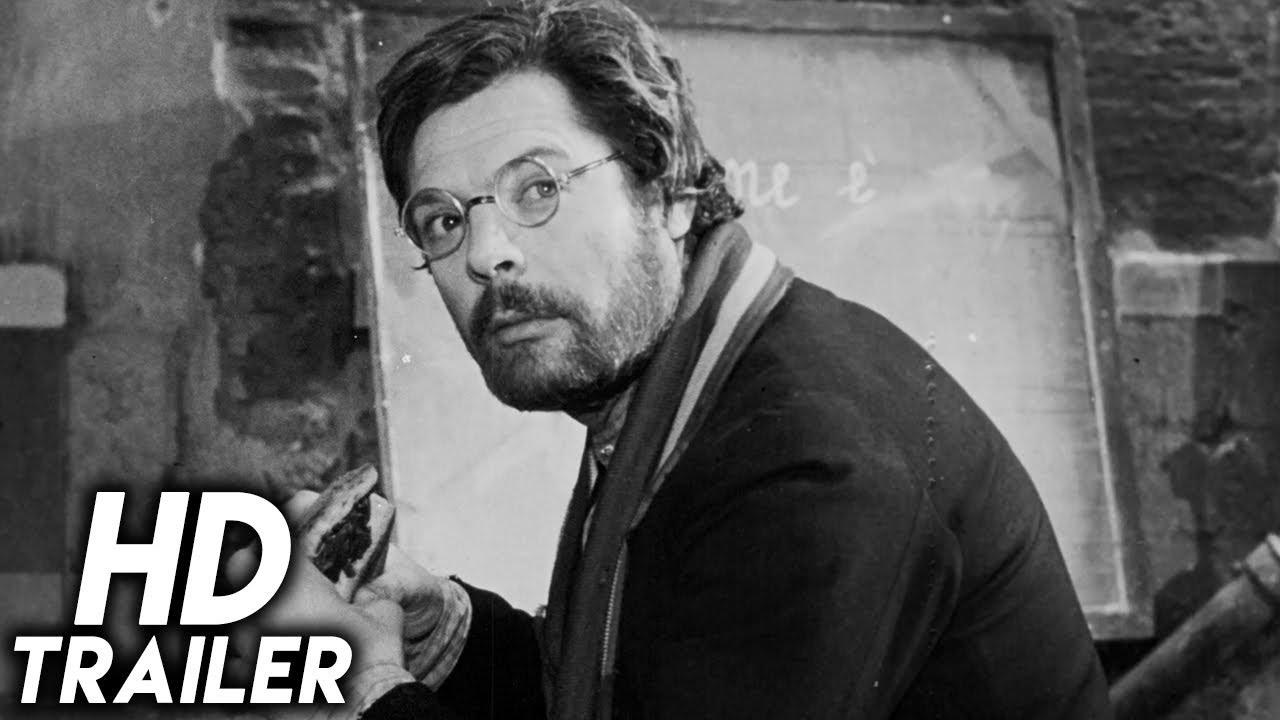 The Organizer Trailer