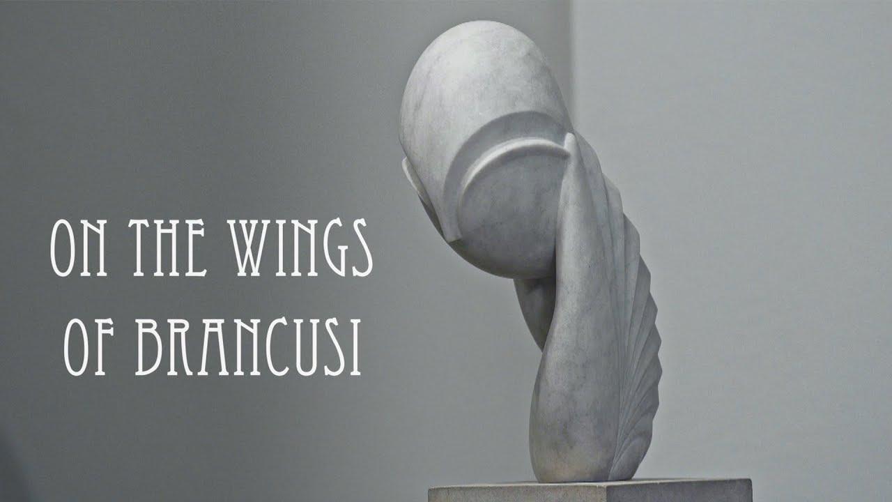 On The Wings of Brancusi Trailer