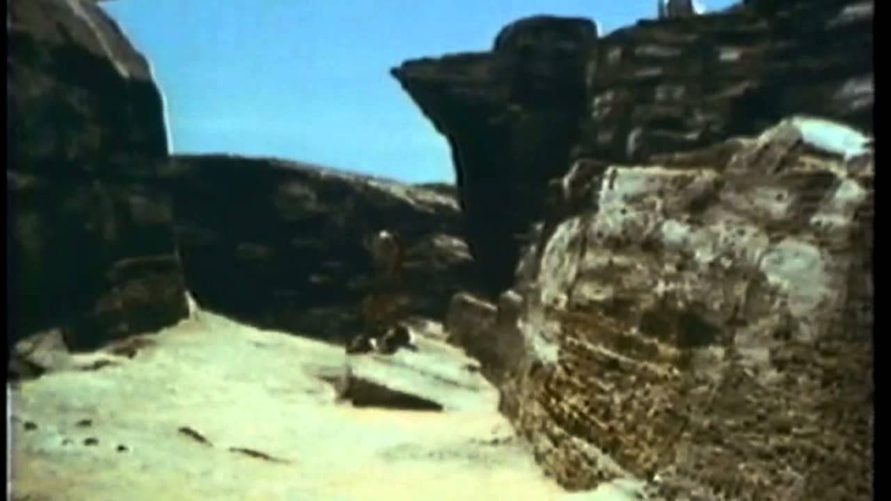 Tanya's Island Trailer
