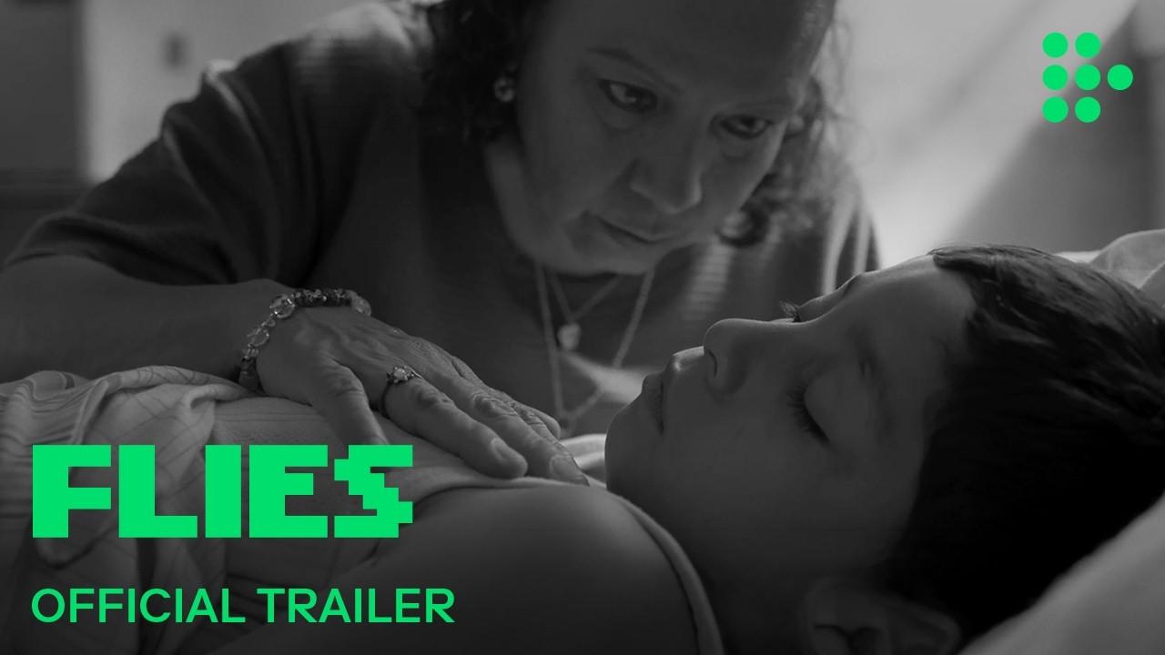 Flies Trailer