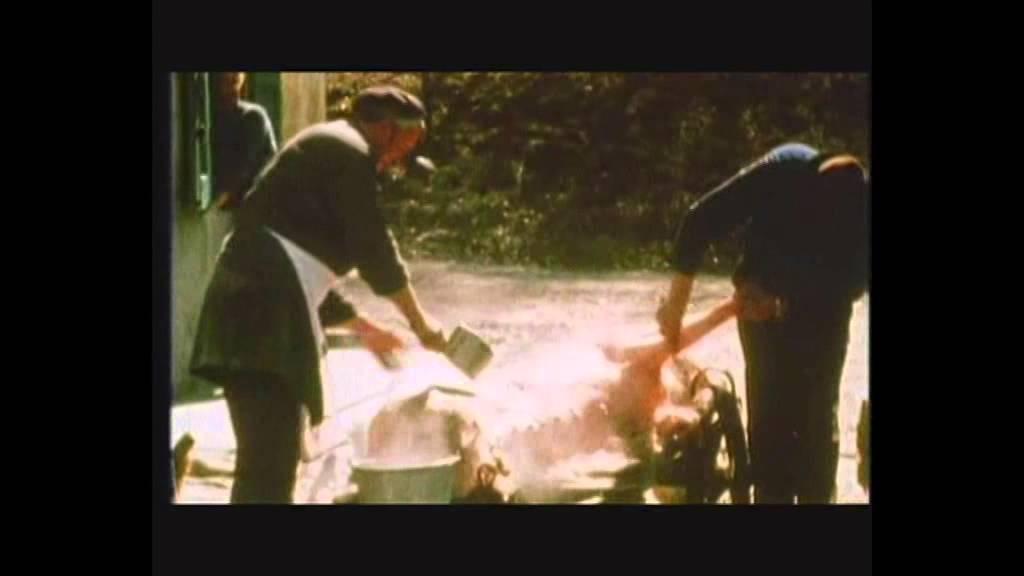Questa non è una esercitazione Trailer