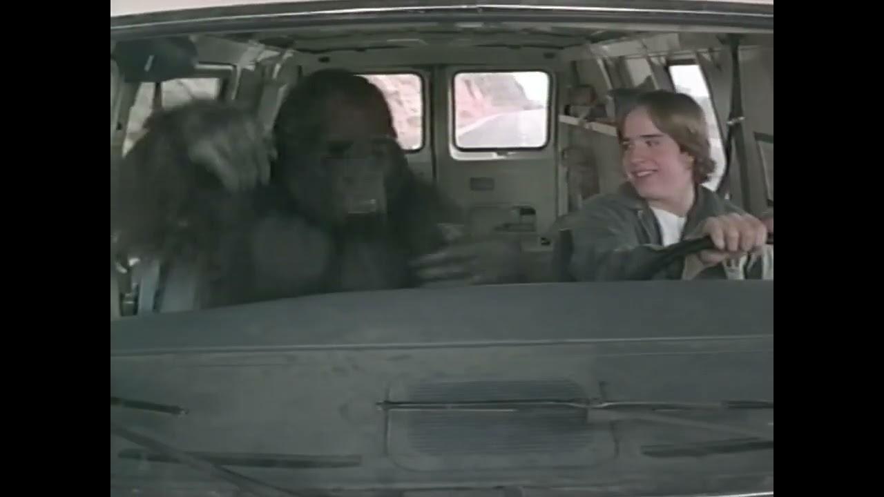 Born to Be Wild Trailer