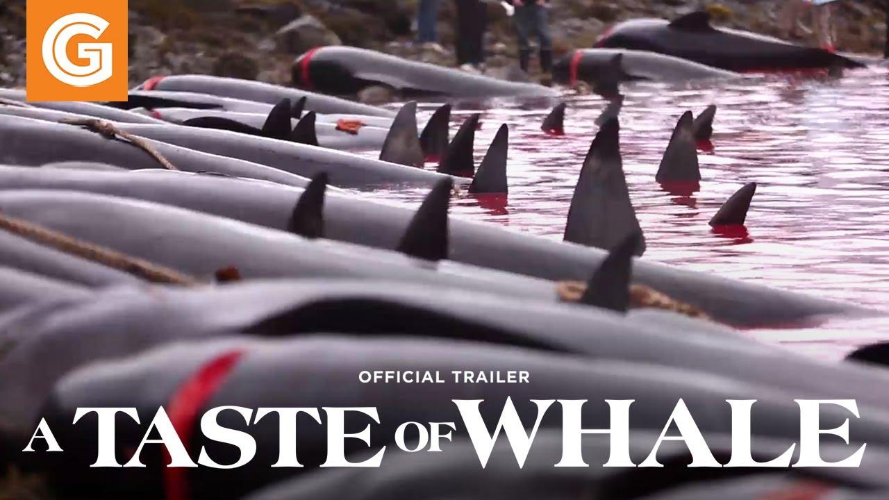 A Taste of Whale Trailer