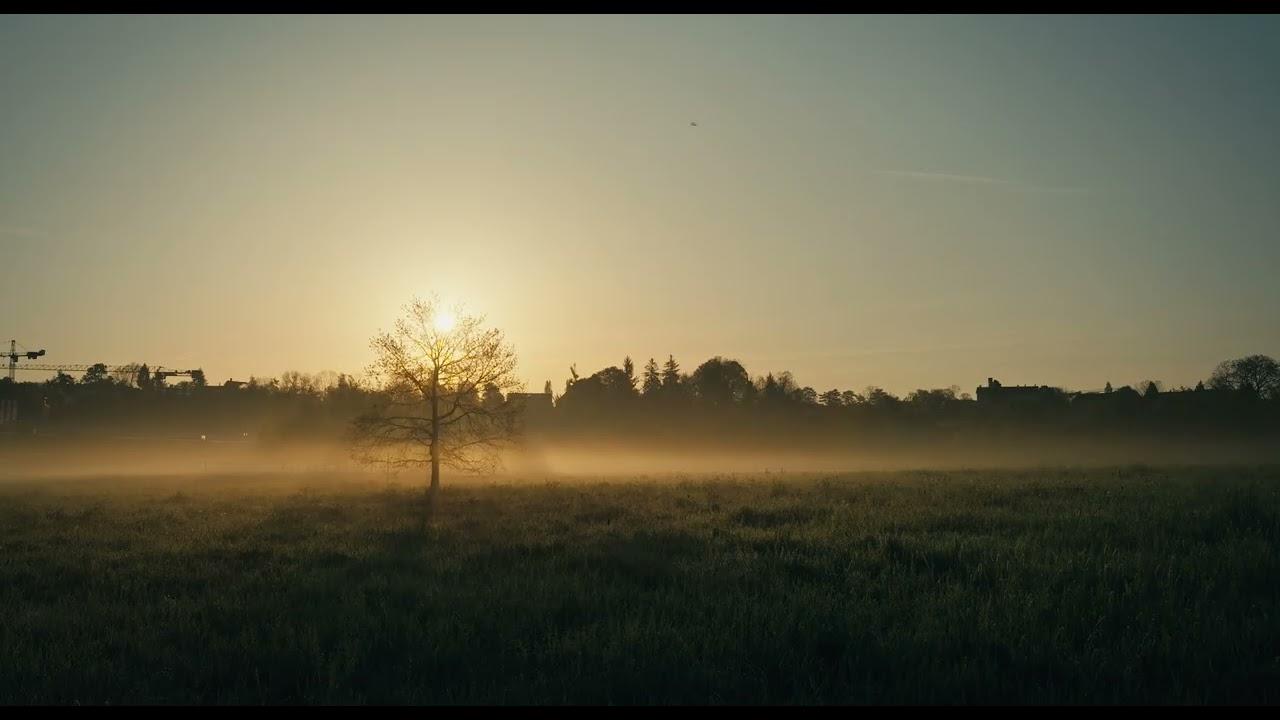 Common Ground Trailer